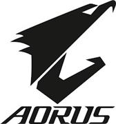 AORUS