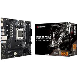 MB BIOSTAR AM5 B650MT